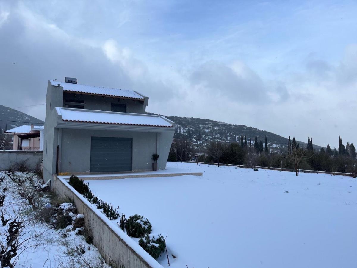 Stellas Guesthouse Near Arachova Stírion Exteriér fotografie